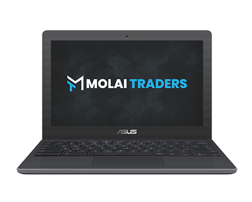 ASUS Chromebook C204EE 4GB RAM 32GB SSD 11.6 inch Chromebook Molai Traders