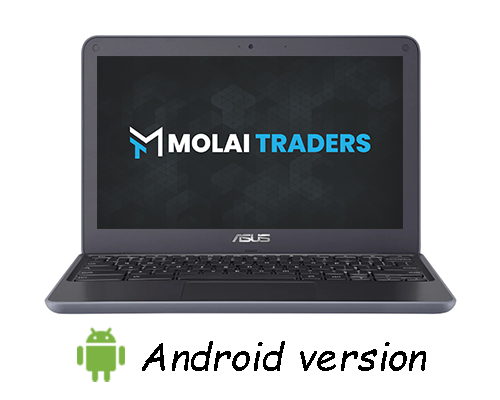 ASUS Chromebook C202 4GB RAM 16GB SSD 11.6 inch Chromebook Molai Traders